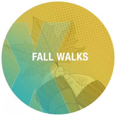 Fall Walks 
