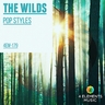 copertina dell'album New Birds