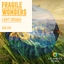 Light Drama: Fragile Wonders