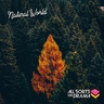 copertina dell'album Beauty Of Nature