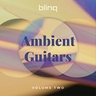 copertina dell'album Anamorphic Scenery