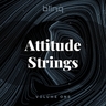 copertina dell'album Shuffling Attitude
