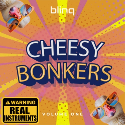 Cheesy Bonkers