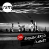 copertina dell'album The Current Situation