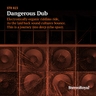 copertina dell'album Dubsteady