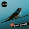 copertina dell'album The Last Swallow